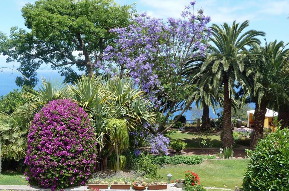 Finca Casa Vieja Hotel Santa Úrsula Екстериор снимка
