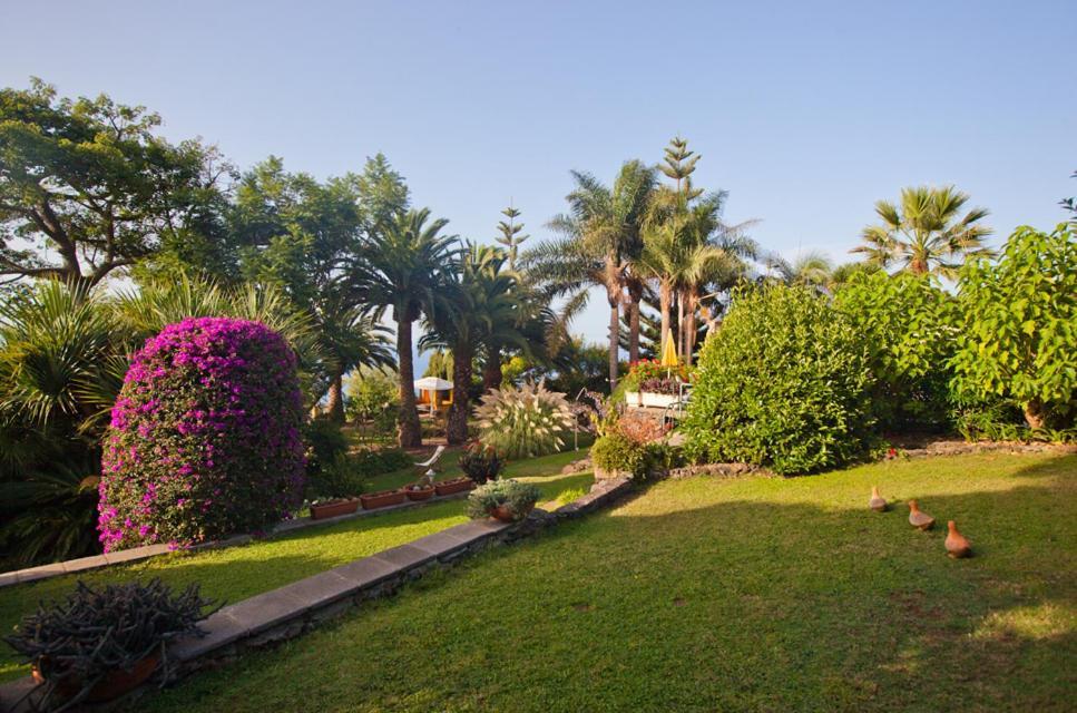 Finca Casa Vieja Hotel Santa Úrsula Екстериор снимка